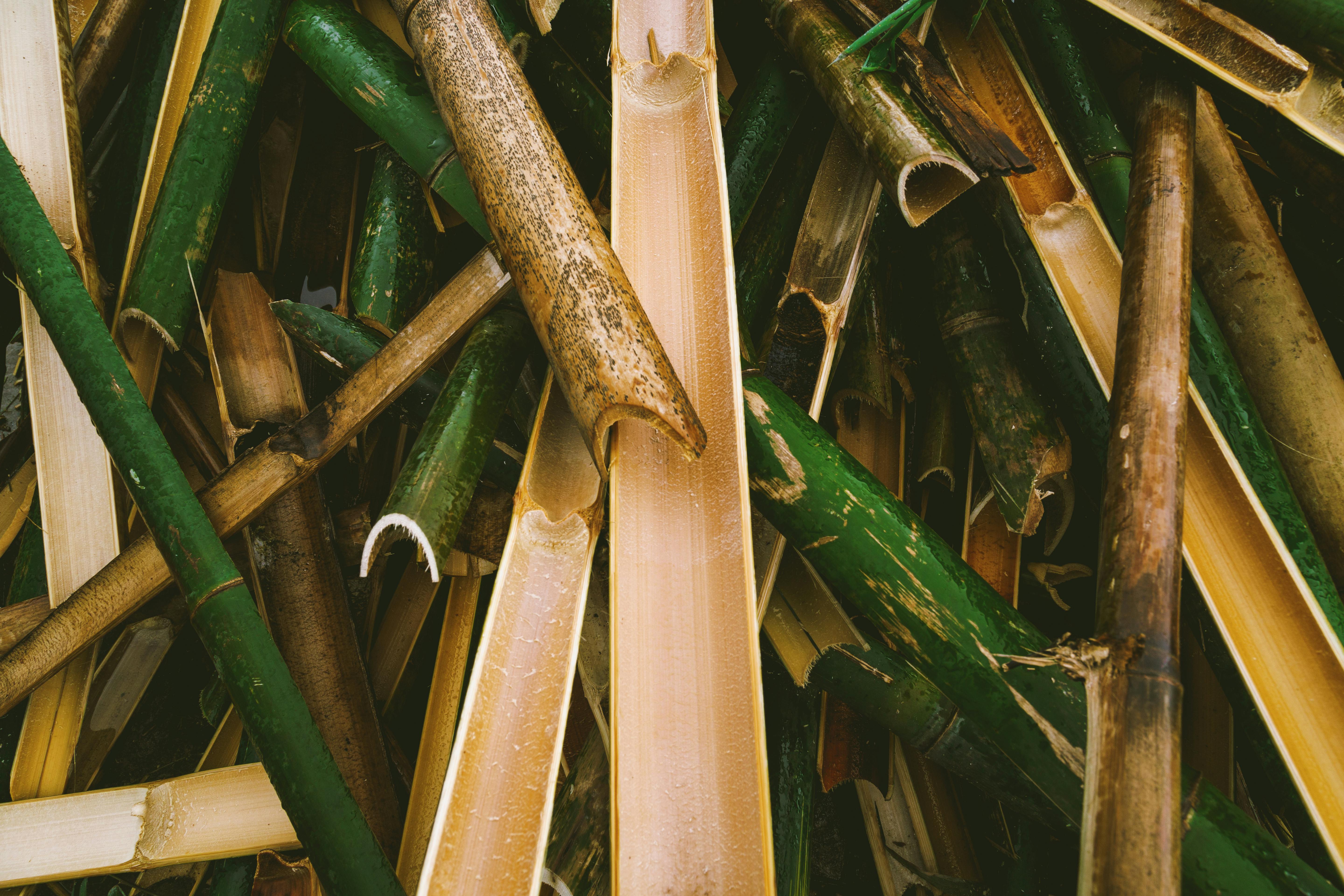 Pourquoi choisir des boxers en fibre de bambou plutôt qu’en coton ou polyester ?